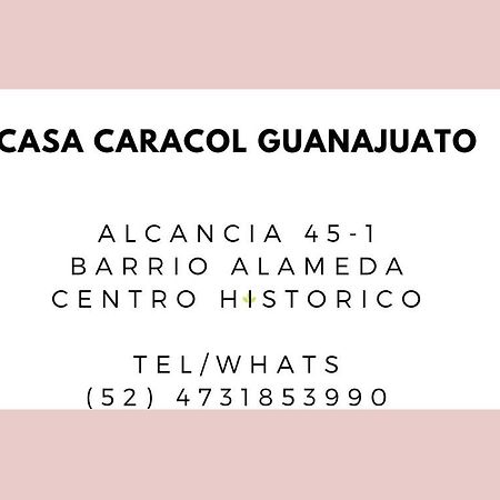 Casa Caracol Guanajuato Aparthotel Buitenkant foto
